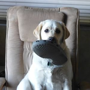 Meet your Posher, Cheryl